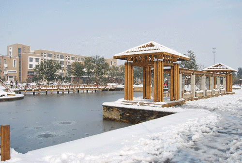 东区湖雪景